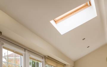 Dumgoyne conservatory roof insulation companies