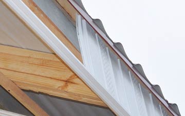 why Dumgoyne fascia repairs are essential