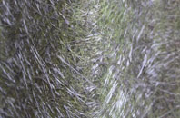 Dumgoyne fibreglass roof work